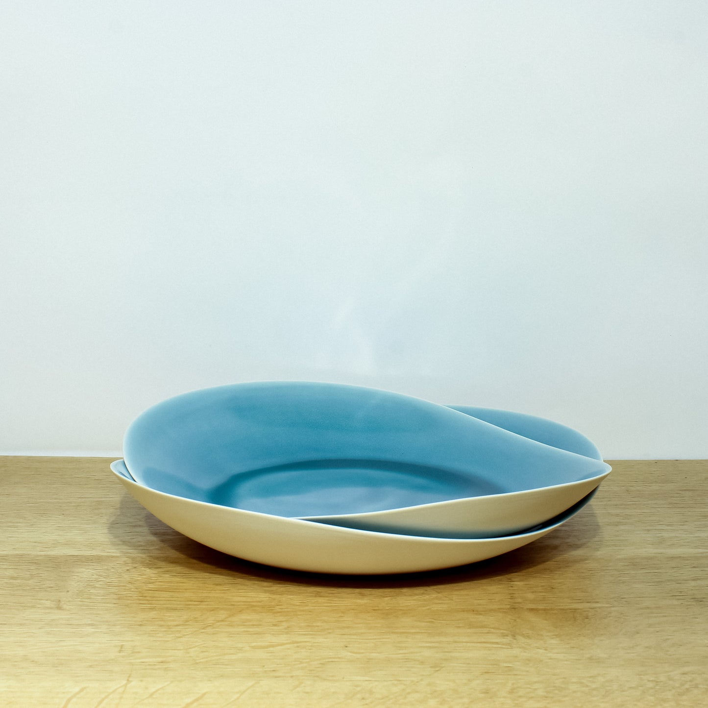 Dinner Plate in Squid Ink