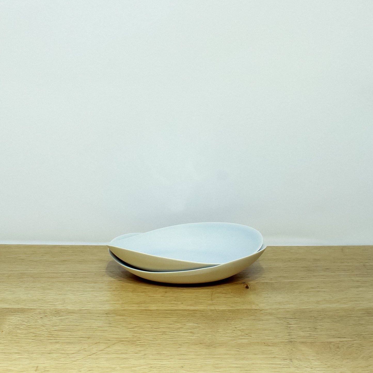 Appetizer Plate in Mist