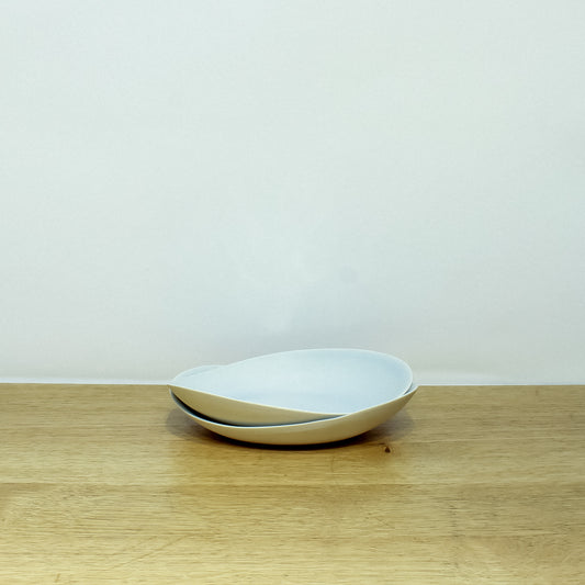 Appetizer Plate in Mist