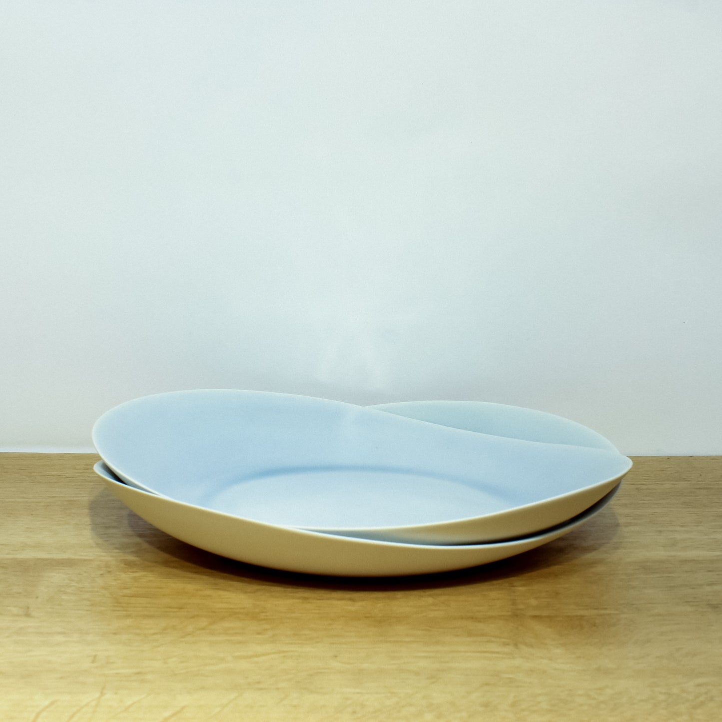 Dinner Plate in Mist
